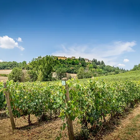 Villa S.Andrea-2